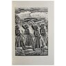Хайдари Сайид Хайдар-Бахш Сказки попугая (Тота Кохани), иллюстрация